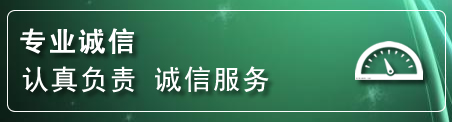 镇赉网站排名